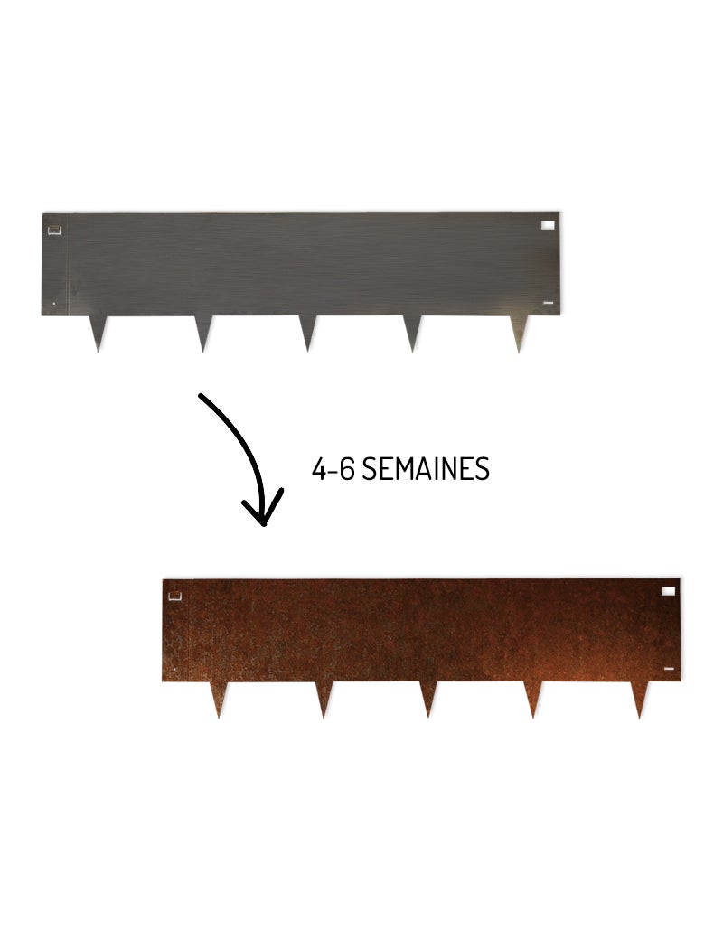 10pcs Bordure de Jardin Métal Acier Corten Brut 100x26,5cm épaisseur 1,5mm - madecoupesurmesure - 3
