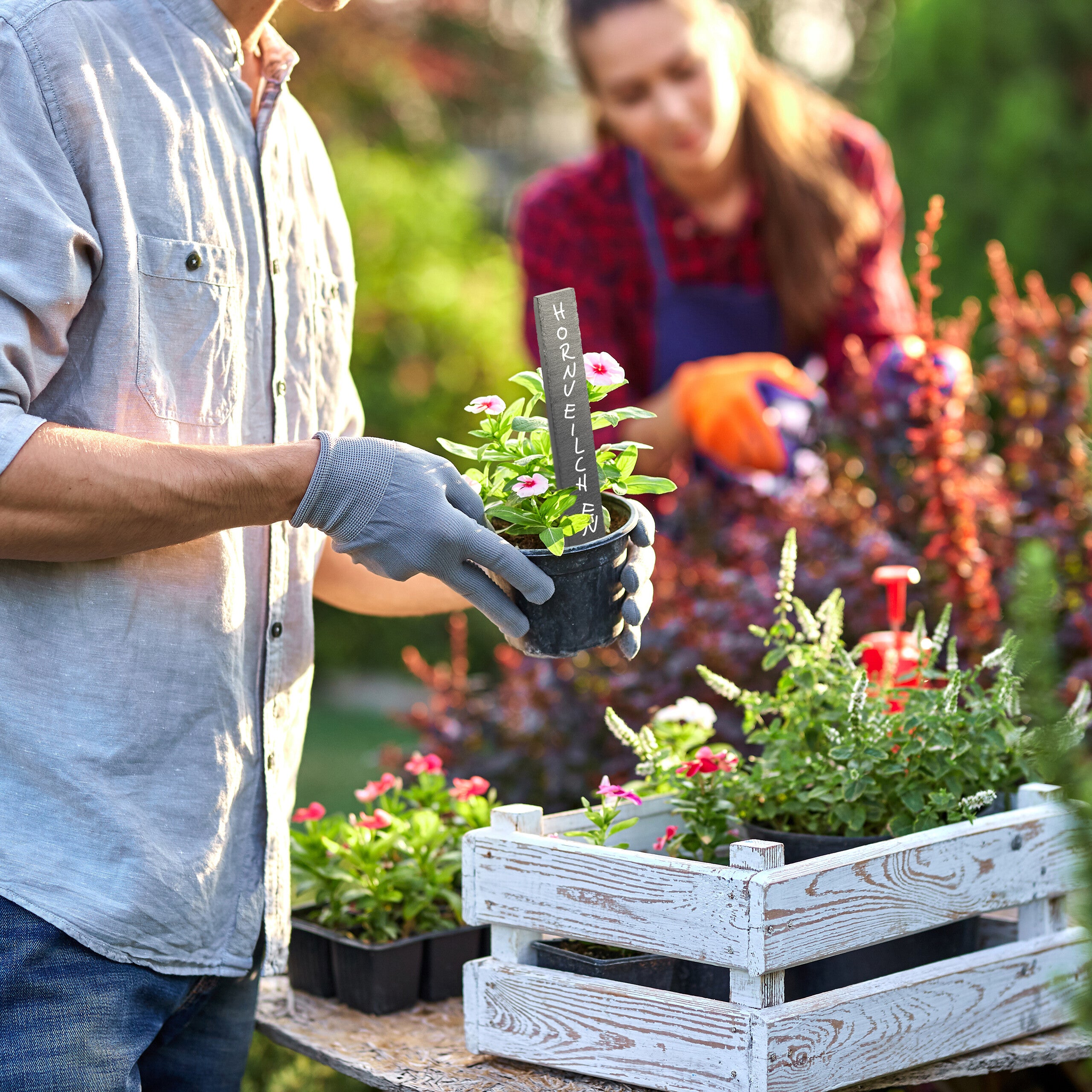 Étiquettes pour plantes en ardoise, lot de 10, inscriptibles pour jardin et potager, 20 x 3 x 0,5 cm, anthracite, Relaxdays - 3
