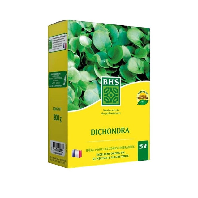 Gazon Kikuyu BHS , 25m² , boite de 300 grs