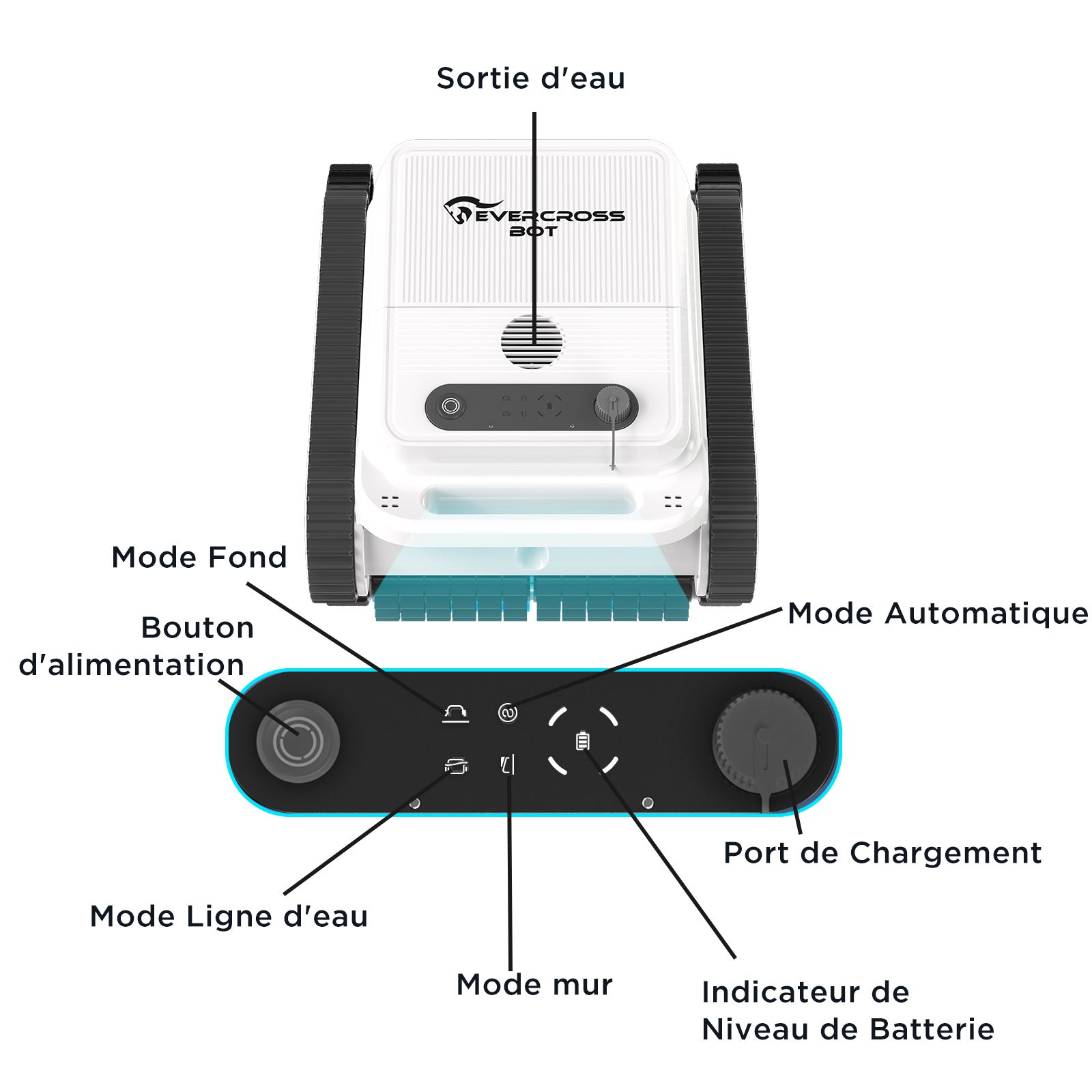 EVERCROSS BOT U8 Robot Piscine Est Équipé de Quatre Moteurs et de Batteries, Prend en Charge la Fonction de Nettoyage de la Ligne de Flottaison, APP - 3