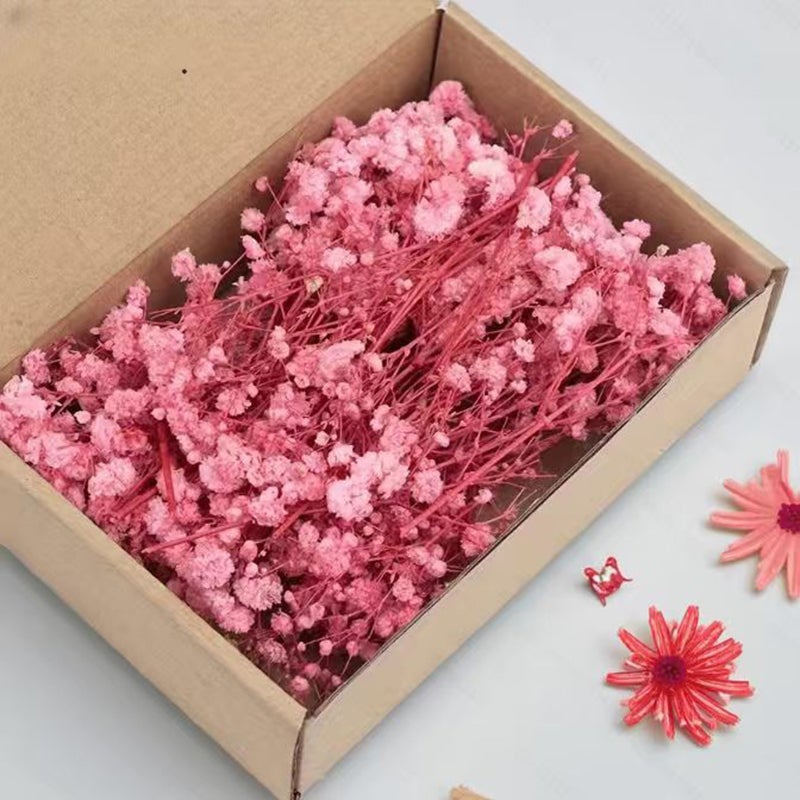 50 tiges de gypsophile séchée – bouquet blanc naturel pour mariages, vases, déco maison. - 7