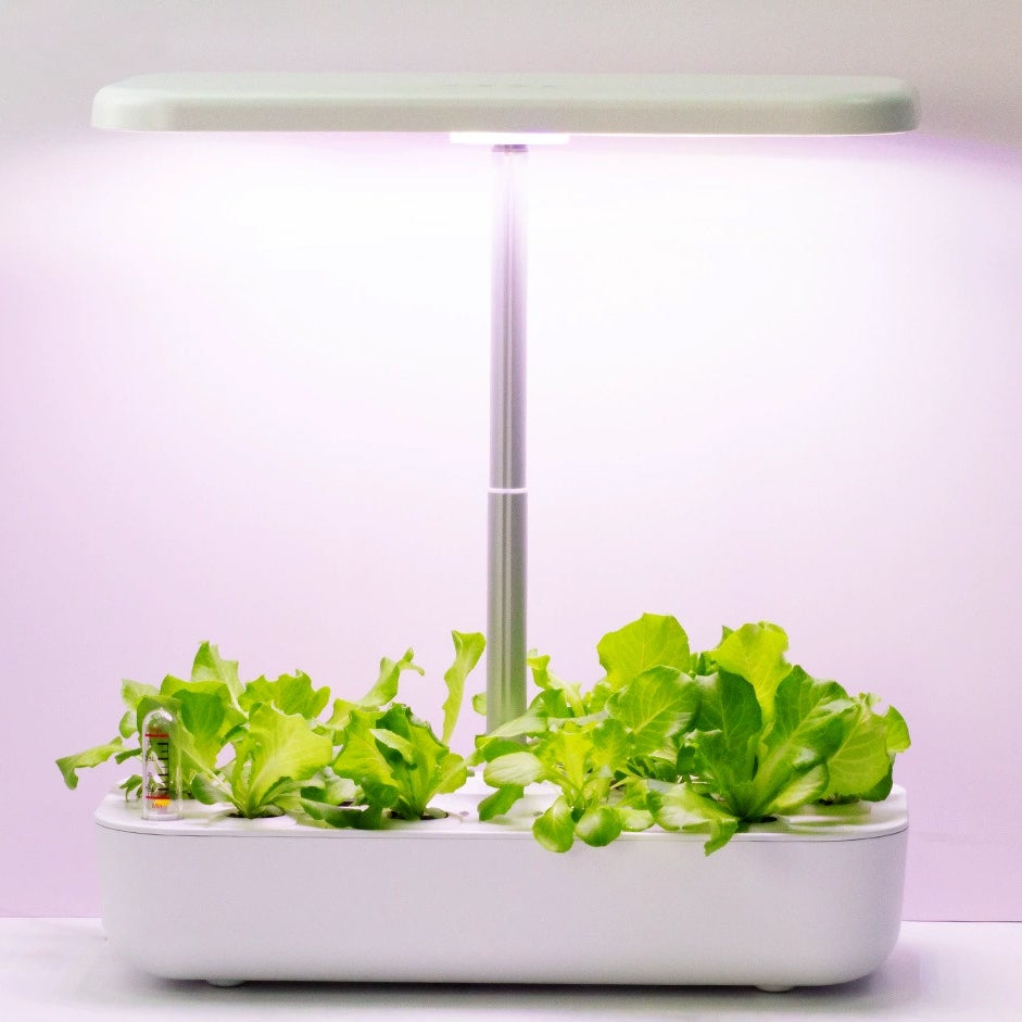 Sistema Di Coltivazione Idroponica RoseFlower - 12 Posti, Con Luce LED Regolabile, Autoirrigante - Per Erbe E Verdure Indoor - Foto 11