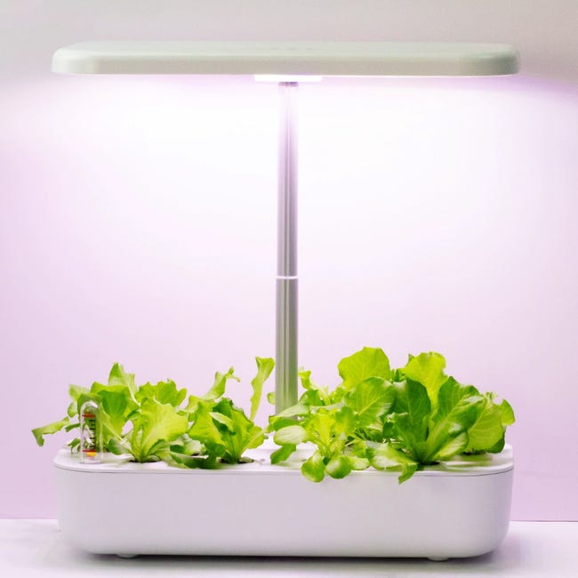 Sistema Di Coltivazione Idroponica RoseFlower - 12 Posti, Con Luce LED Regolabile, Autoirrigante - Per Erbe E Verdure Indoor - Foto 11