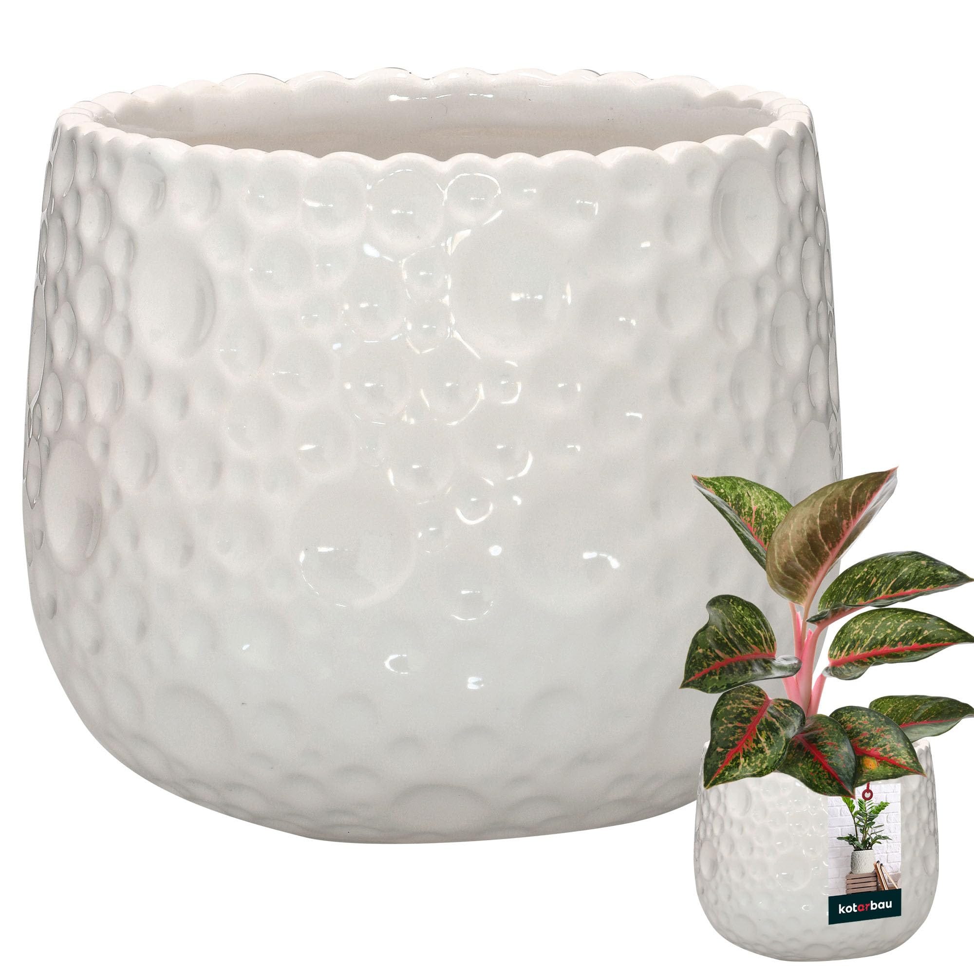 Nordring Vaso Cross - per Fiori da Interno e Piante da Interno, Piante Nordring Vaso Cross - per Fiori da Interno e Piante da Interno, Piante