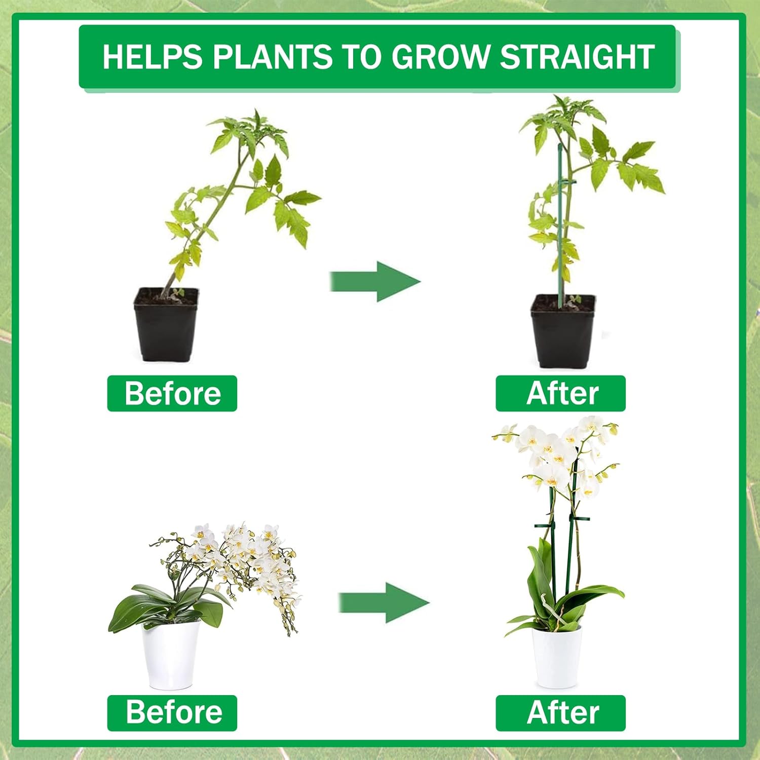 Booster Grow Solution- To Improves Overall Plant Yield - WE Hydroponics Booster Grow Solution- To Improves Overall Plant Yield - WE Hydroponics