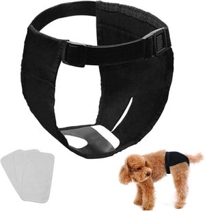 Culotte Pour Chienne En Chaleur - Lot De 3 Pièces Taille S Avec Tapis Absorbant Lavable - Réglable Et Confortable
