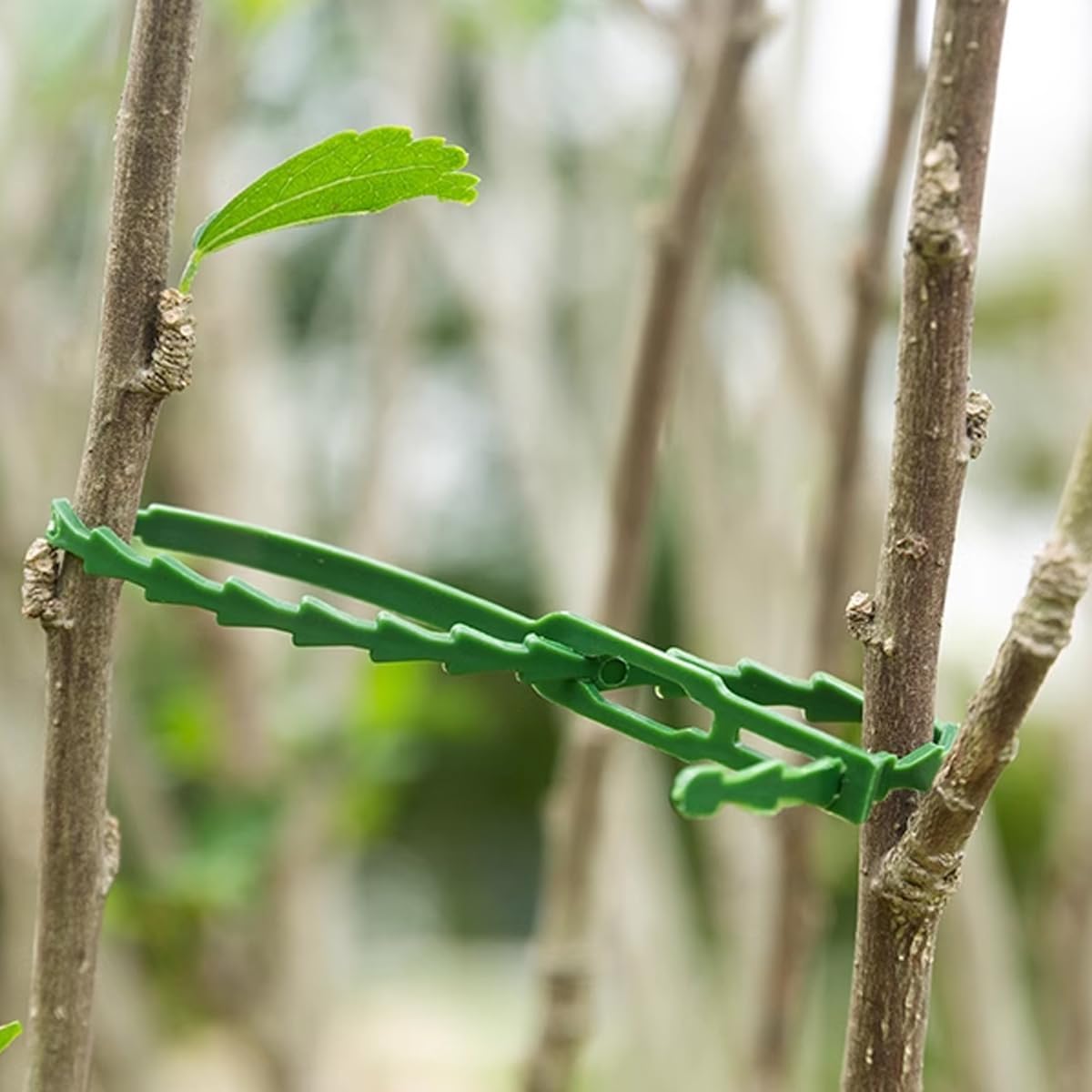 4 Fascette Morbide Da Giardino | Filo Verde PVC 3,5mm X 20m | Reggette Per Piante Rampicanti E Organizzazione