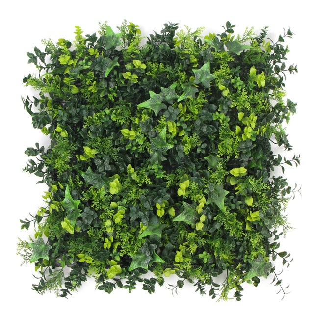 Barbuda | FOLY - 50 x 50 cm - Jardín vertical artificial para interior y exterior - Imitación hiedra - Garantía UV 5 años - JIVANA