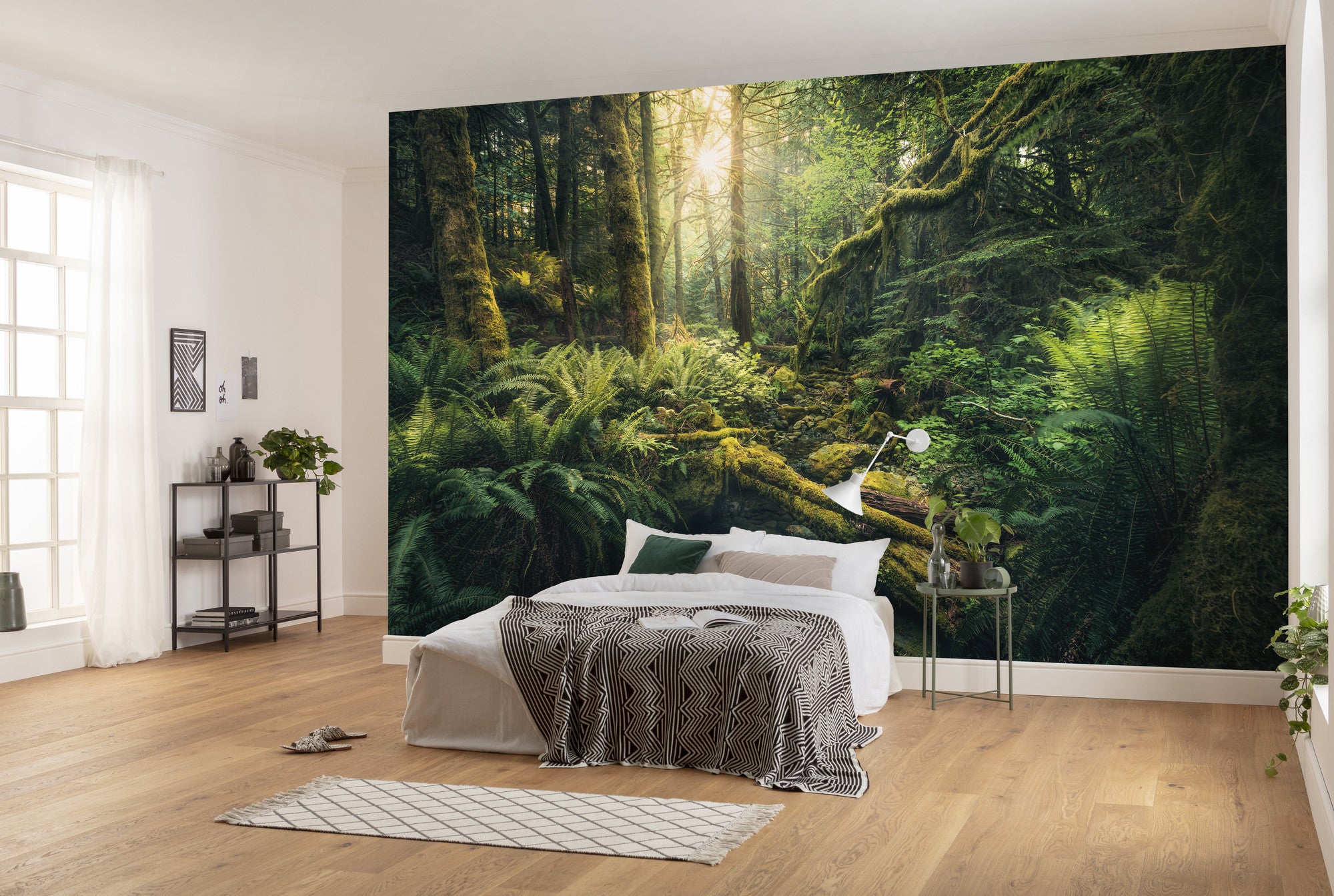 Fototapeta las zielonym - 450 x 280 cm - SANDERS &amp; SANDERS