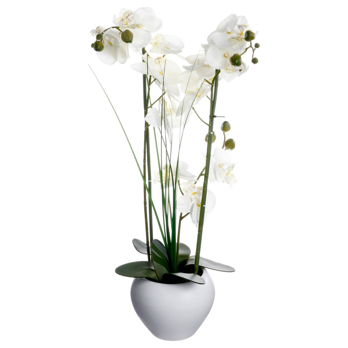 Composition Florale & Vase 