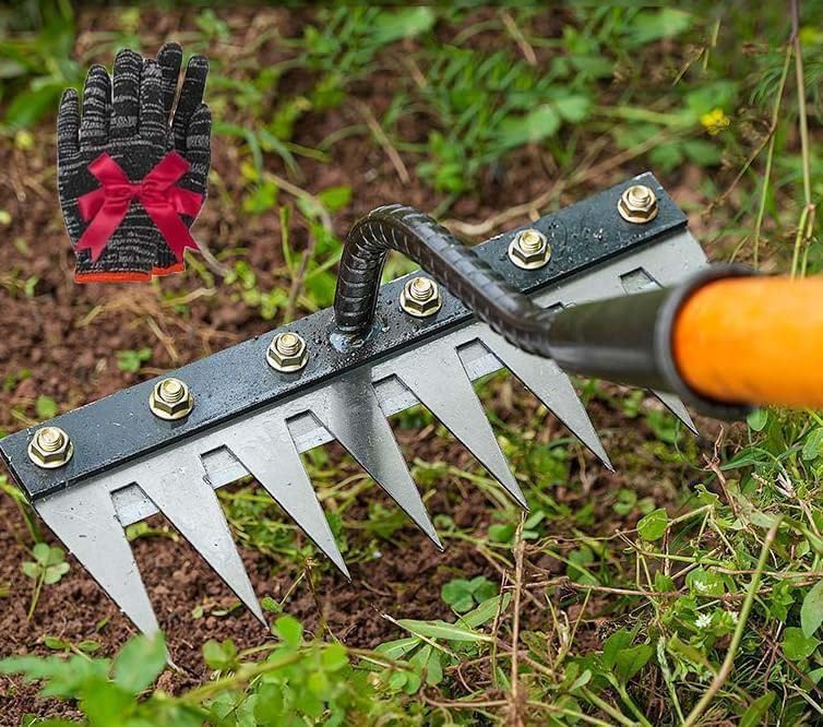 Outils Wolf | RASTELLO 10 Denti Multi-Star | DSM19
