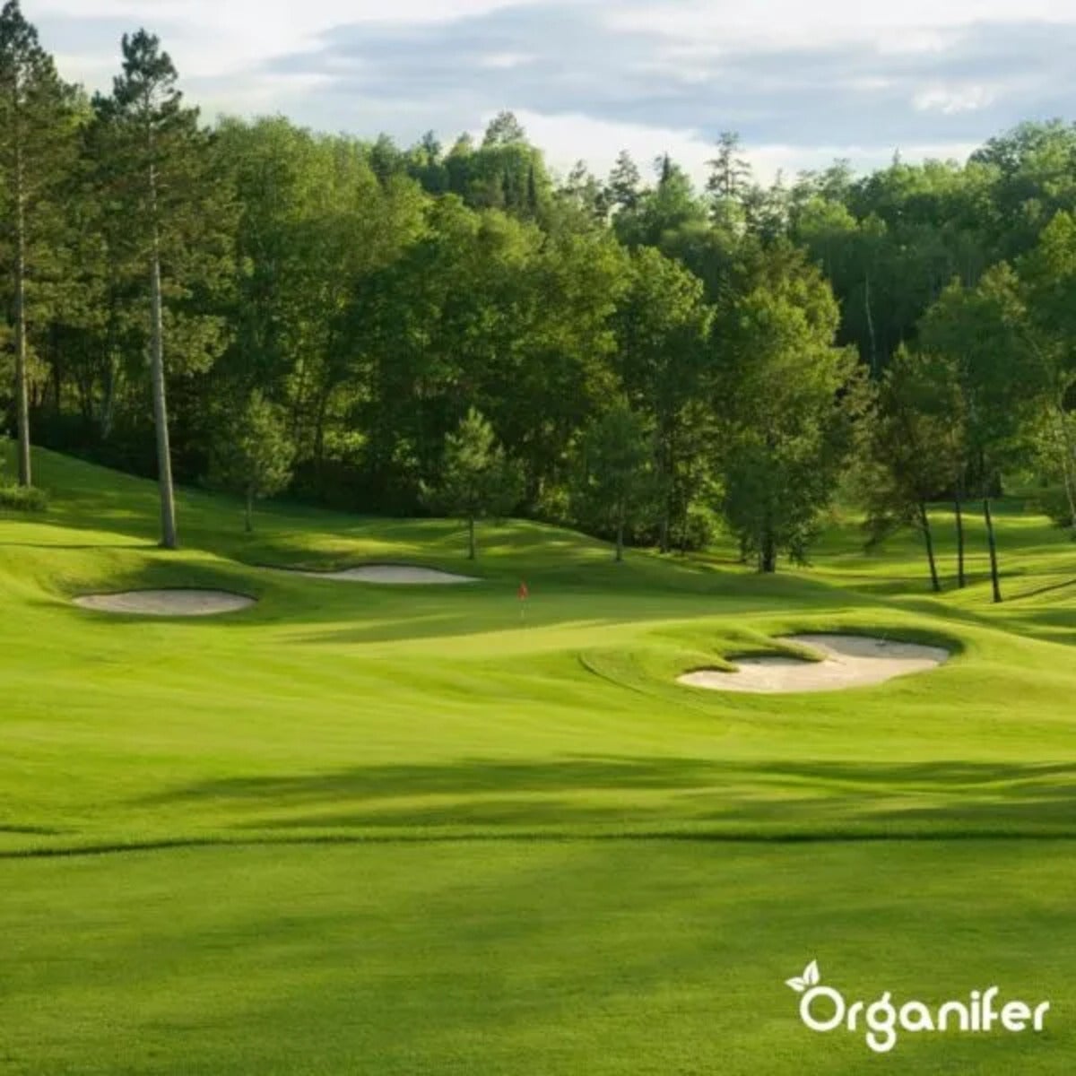 Engrais Calcaire Avec Magnésium - 20 Kg Pour 400 M2 - Organifer - 3