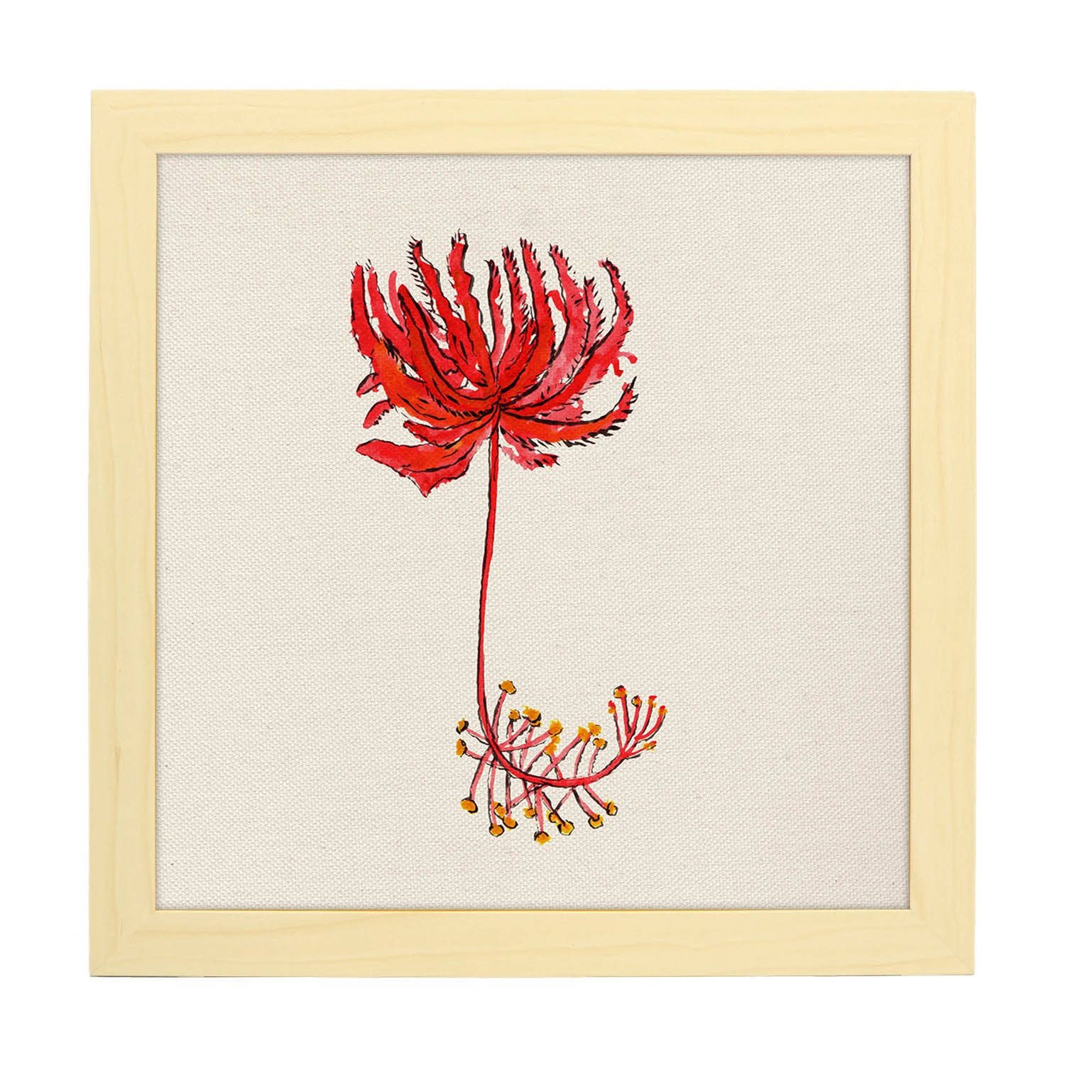 Affiche De Fleur Et De Nature. Raiz Flower Square, Illustré De Dessins De Couleur. Cadre Noir - 2