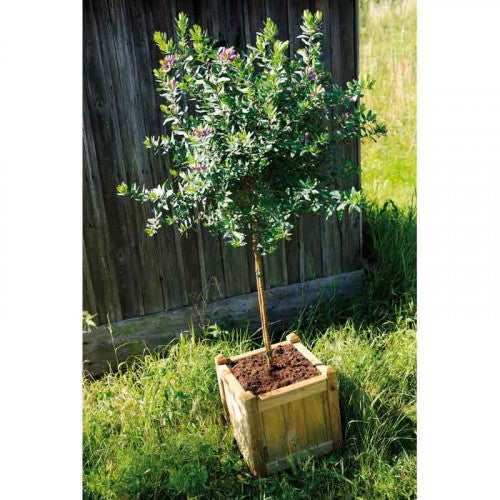 BAC A FLEURS CARRE EN BOIS 52L - 4