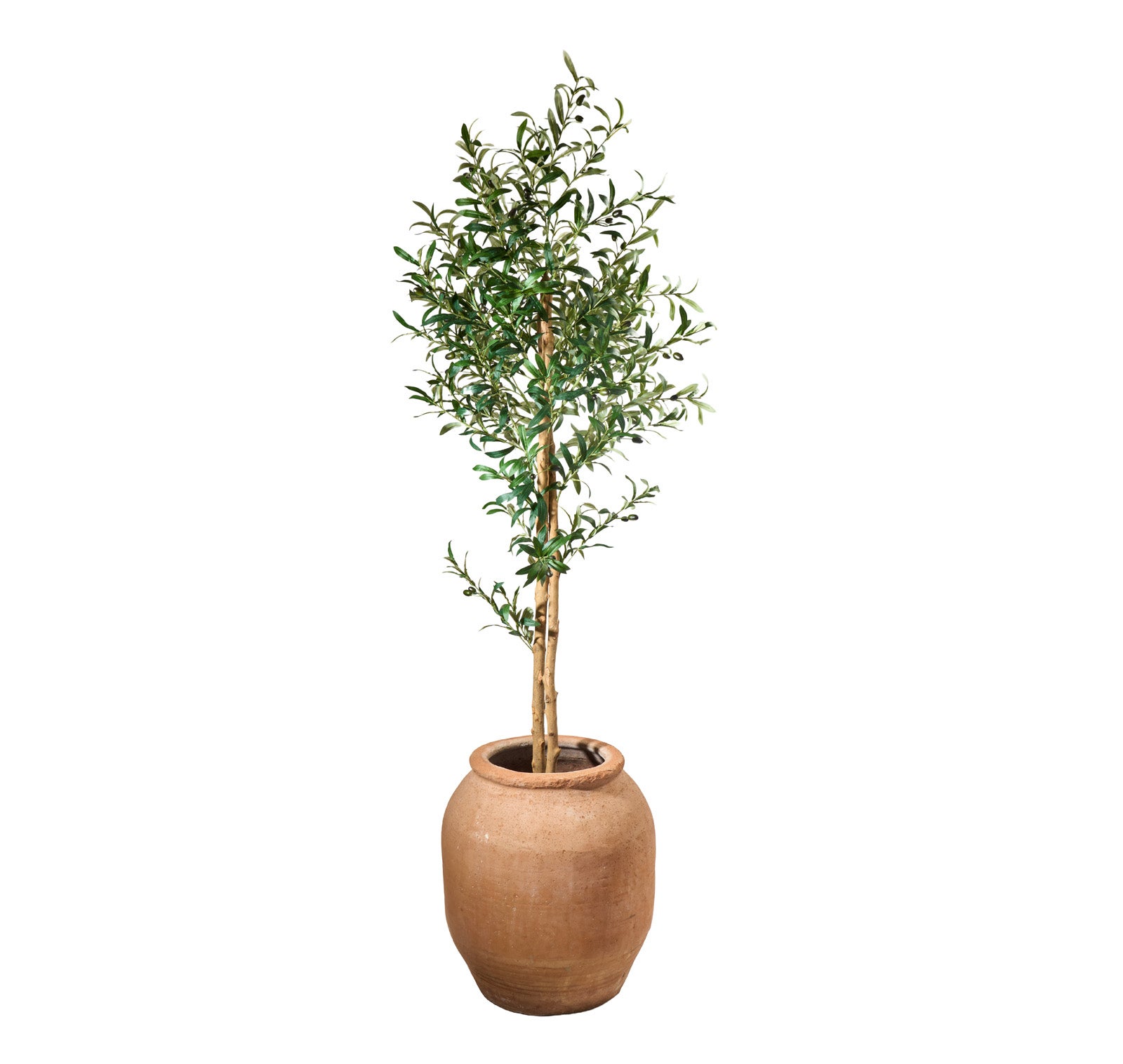 Olivier artificiel 175 cm, Plante décorative avec Feuilles et Olives réalistes pour salon, chambre ou bureau - 3