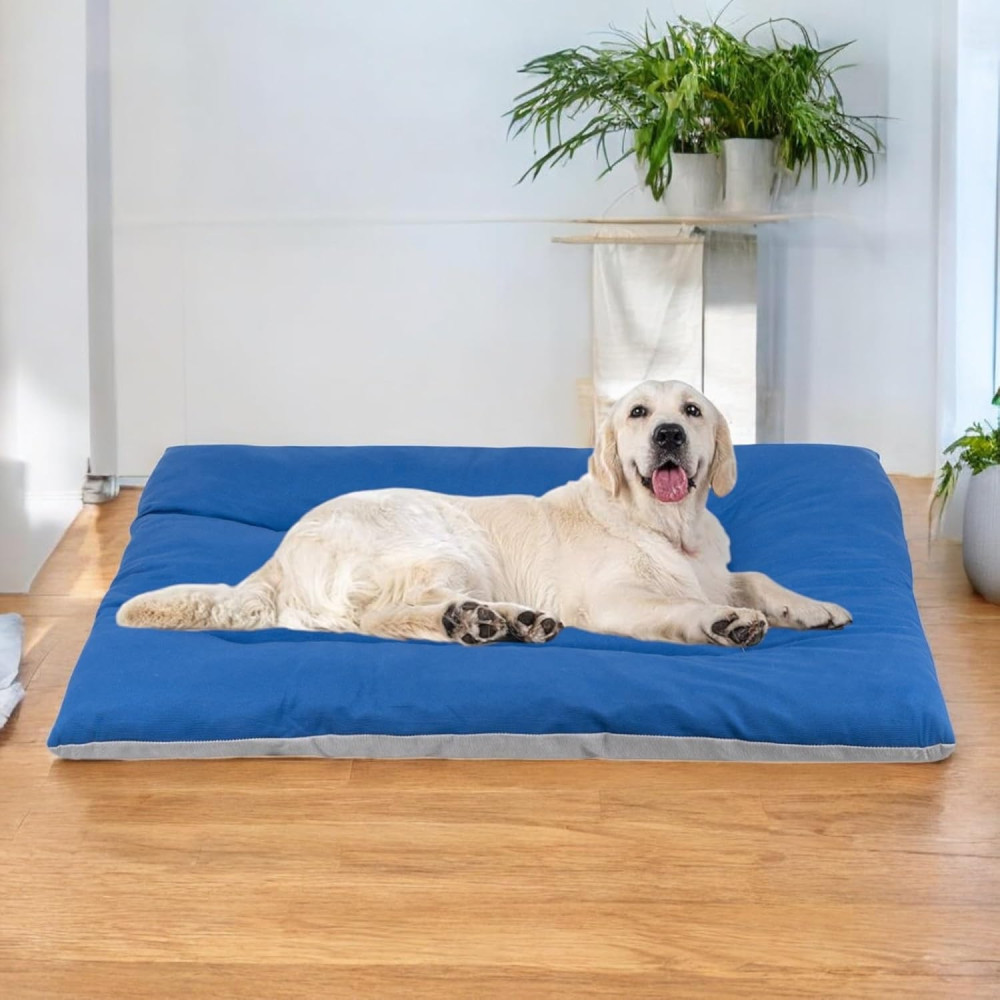 Perro Humano Cama Perro Grande Oferta Camas Para Perros Chicos Sales