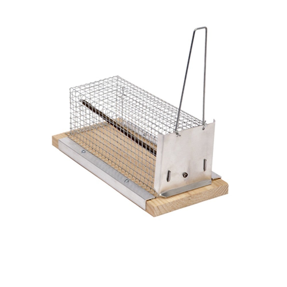 Ratonera tela metalica 21cm. | Leroy Merlin