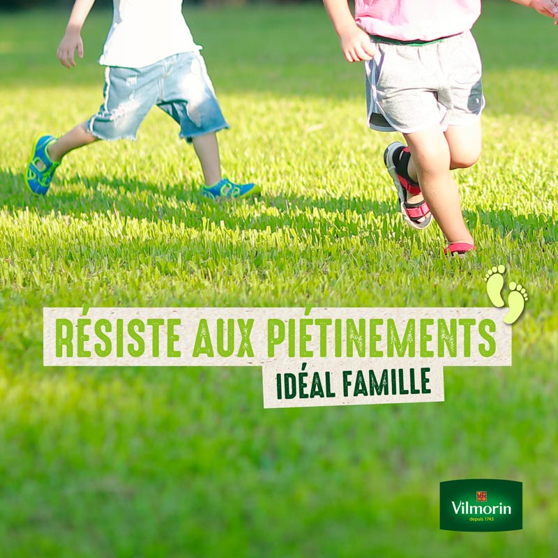 Gazon Ultra Résistant - Label Rouge - 10 kg - 4