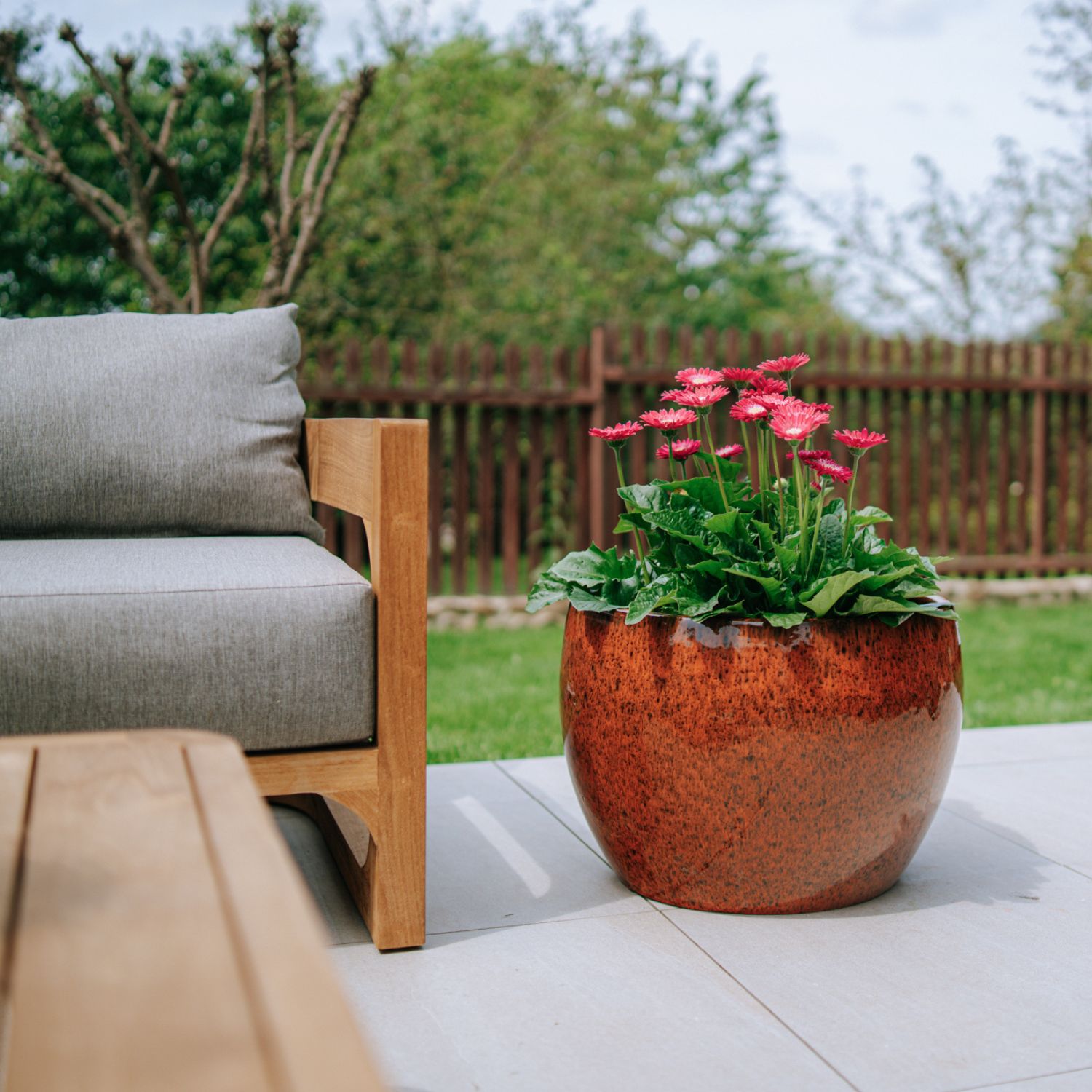 Pot De Fleurs En Terre Cuite 15cm - Peu Profond, Avec Soucoupe Et Trou De Drainage, Pour Plantes Grasses Et Succulentes