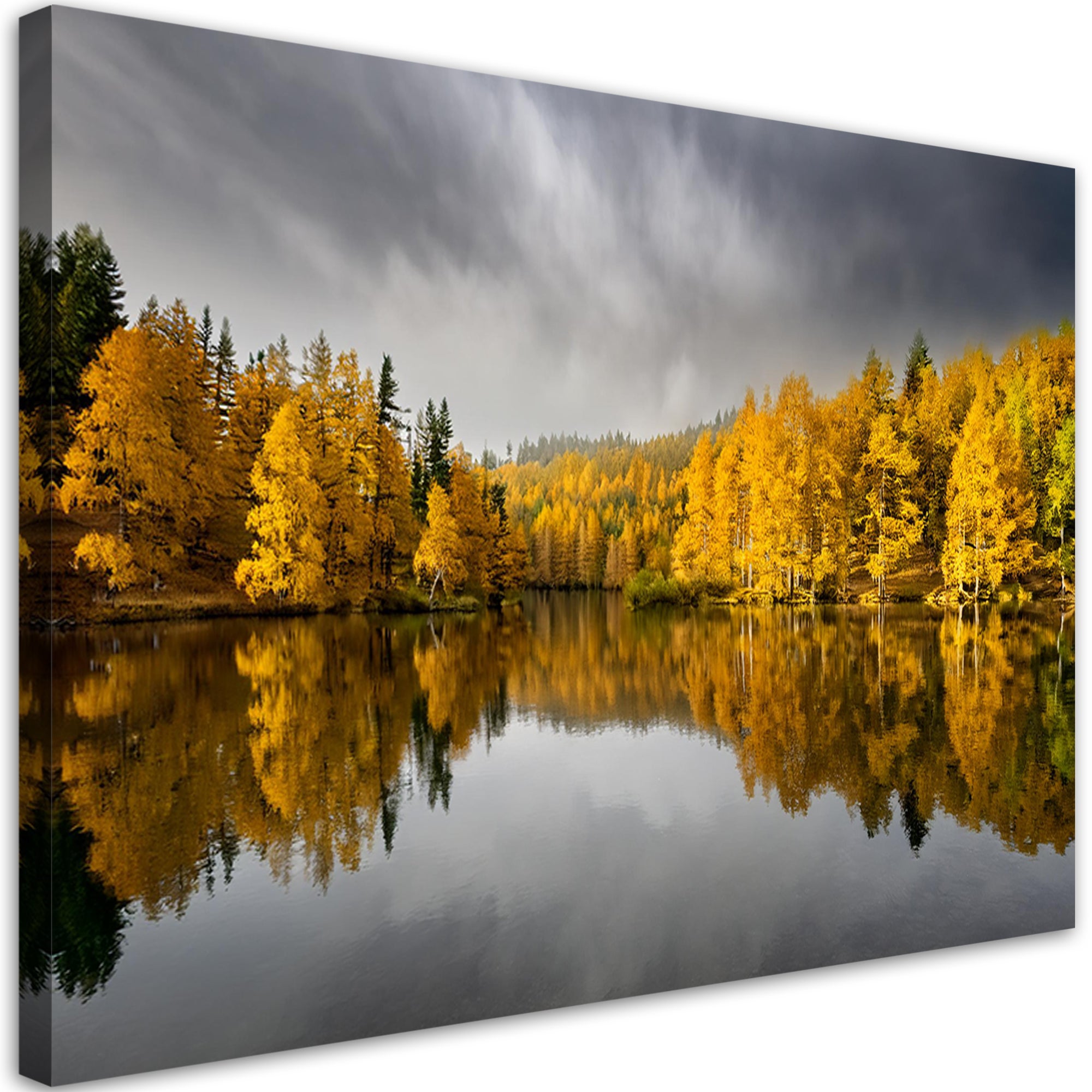 Obraz na płótnie, Zółty Jesienny Las Natura Krajobraz 90x60