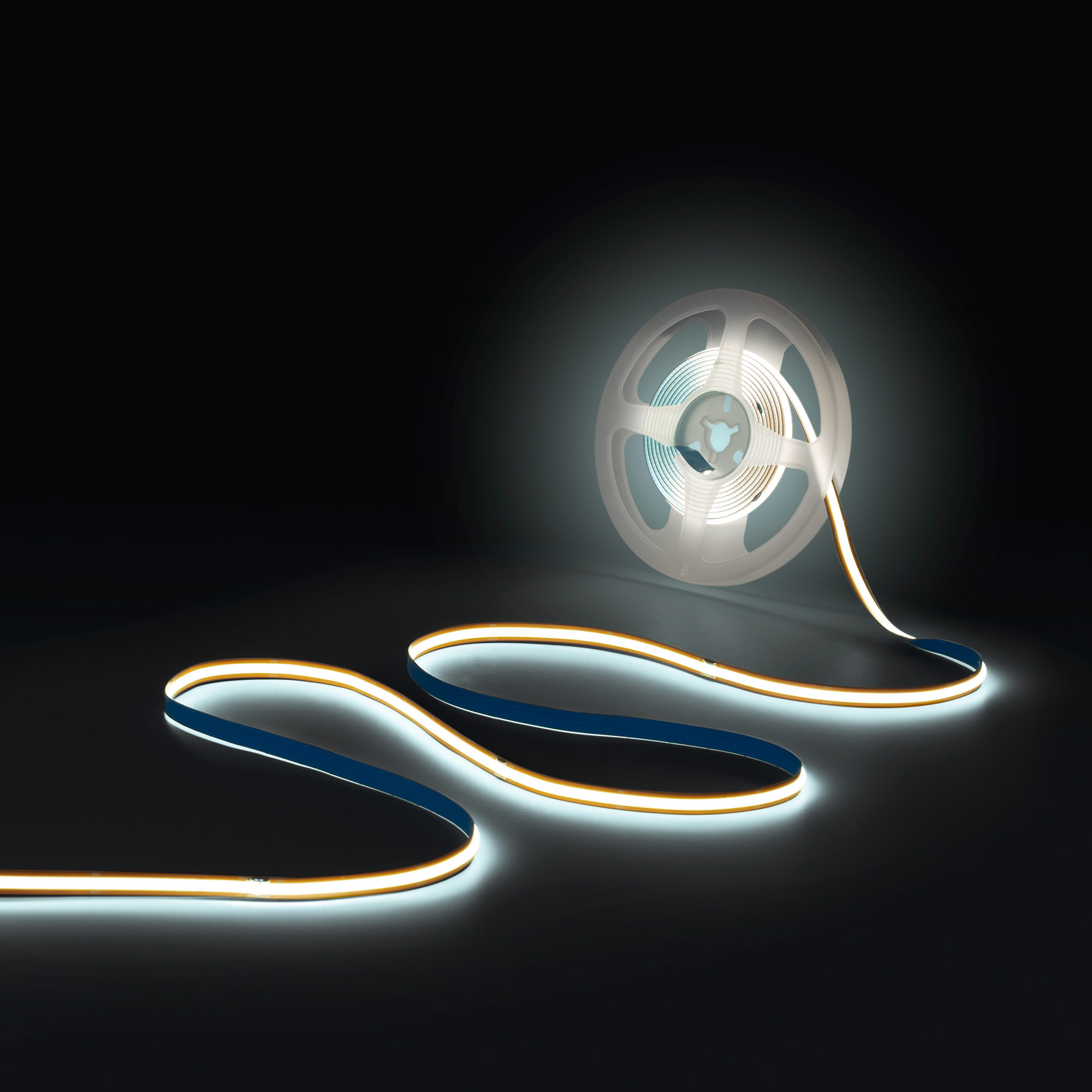 Tira LED COB 24V DC -Monocolor - FREE CUT - 11W/m - 8mm - IP20 - Rollo de 5  metros - Blanco Frío | Leroy Merlin