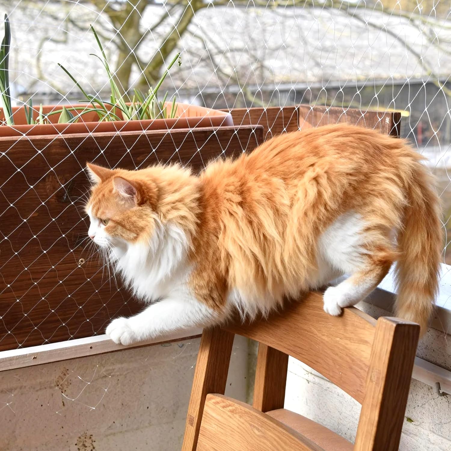 Filet de sécurité pour chat de balcon - Filet de sécurité pour chat - blanc - Filet de sécurité pour fenêtre (3x 4mètres) - 5