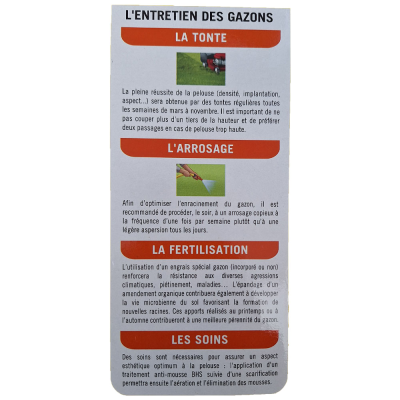 Graines de gazon rustique BHS - 4