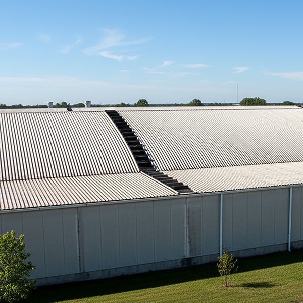 10 échelles souple en caoutchouc 1.60 x 0.40m - Avec raidisseur - 320501-320503/10 - 4