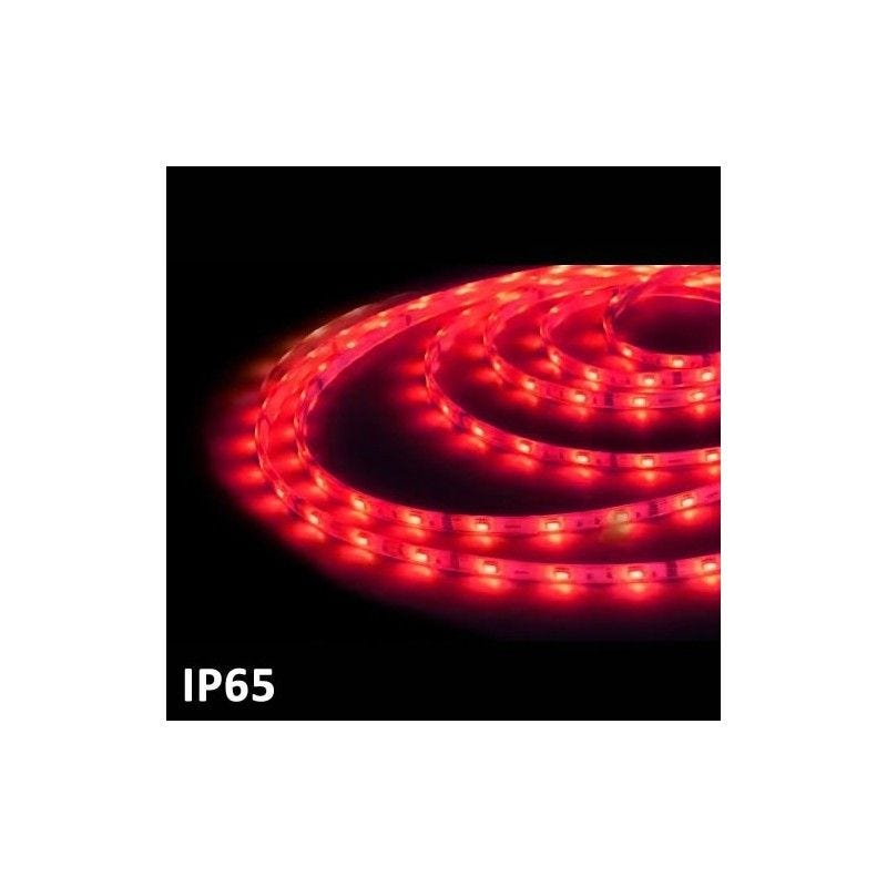 Led Rouge Bras Ruban LED 5m ROUGE SMD5050 7.2W / m IP65 24V GSC 1504595 | Leroy Merlin