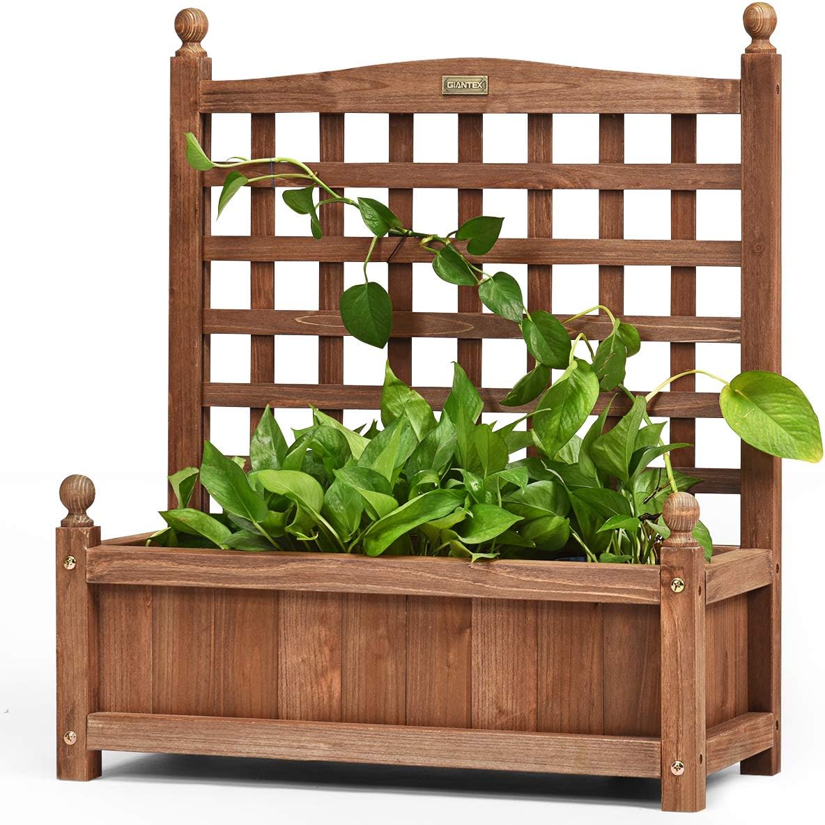 Skrzynka na kwiaty z kratką dla roślin pnących, drewniana skrzynka na rośliny, kratka ogrodowa, na taras, podwórko, 64,5 x 28 x 75 cm, brązowa