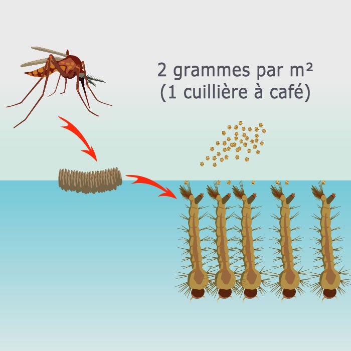 SOLU'BTI - Moustiques - 1,5 kg de Larvicide Biologique - BTI - Bacillus Thuringiensis - 3