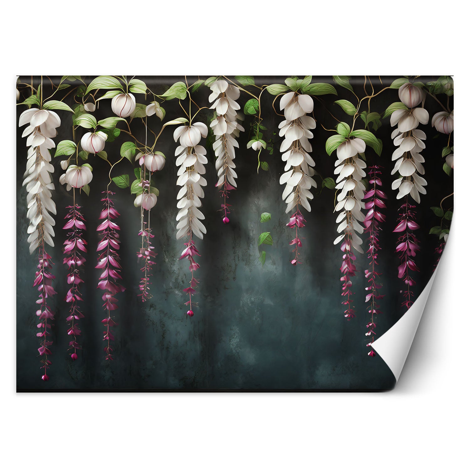 Fototapeta, Zwisające kwiaty wisteria 200x140