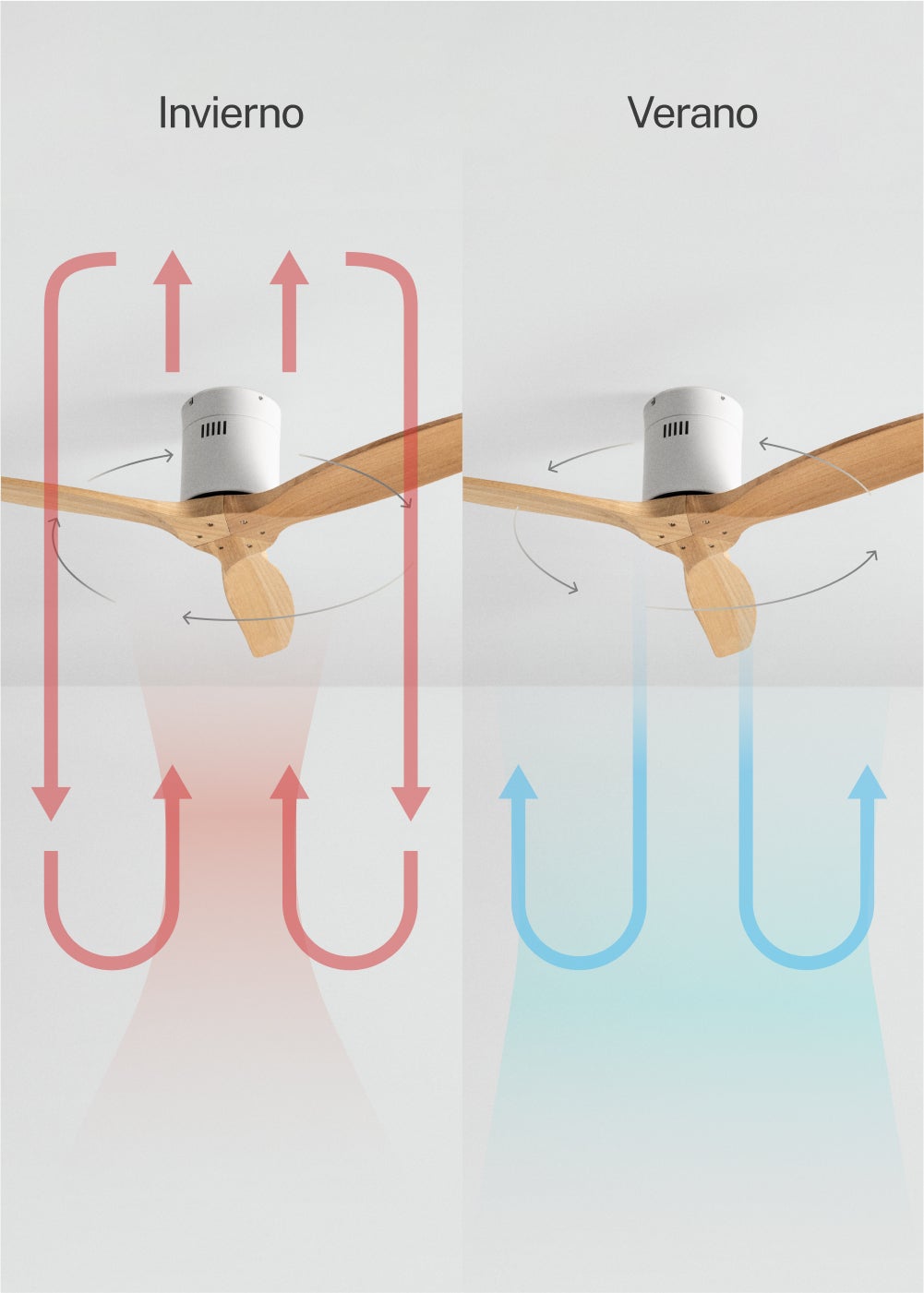 CREATE - WIND CALM M - Ventilateur de plafond silencieux 40W avec pales techniques en ABS Ø132cm sans eclaraige avec wifi - 6