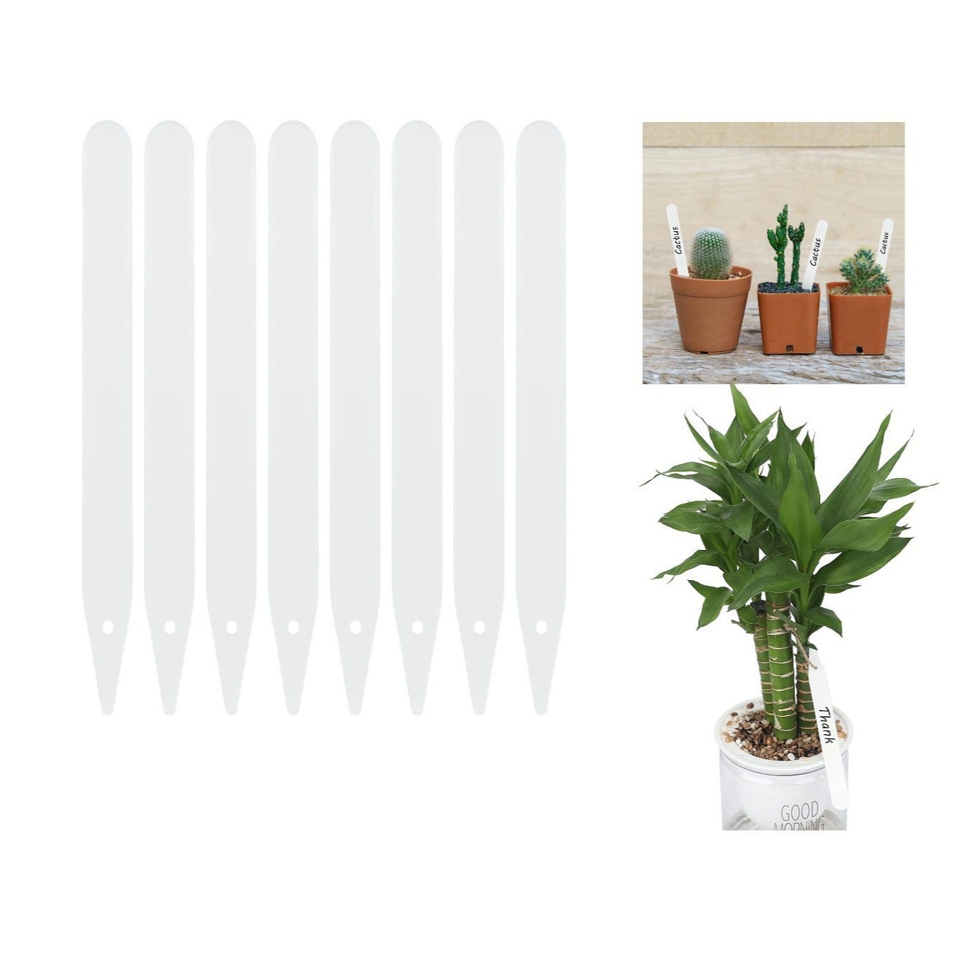 Lot de 100 étiquettes en bois naturel pour plantes 11,4 x 1 Lot de 100 étiquettes en bois naturel pour plantes 11,4 x 1