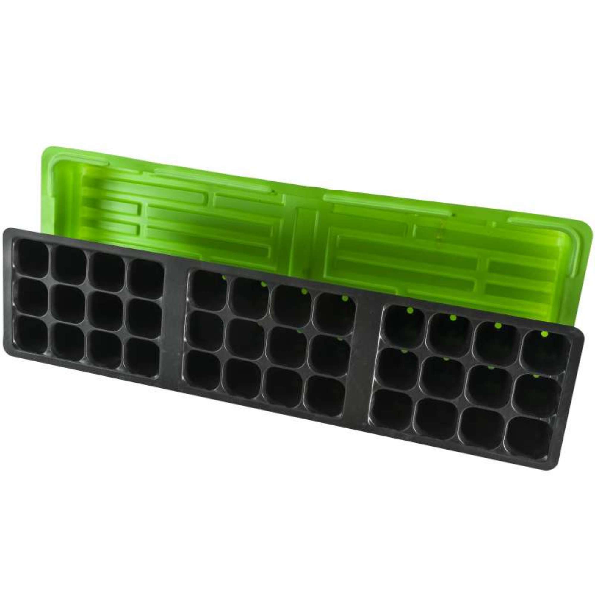 Serre de germination 56x16x6,5cm - 2