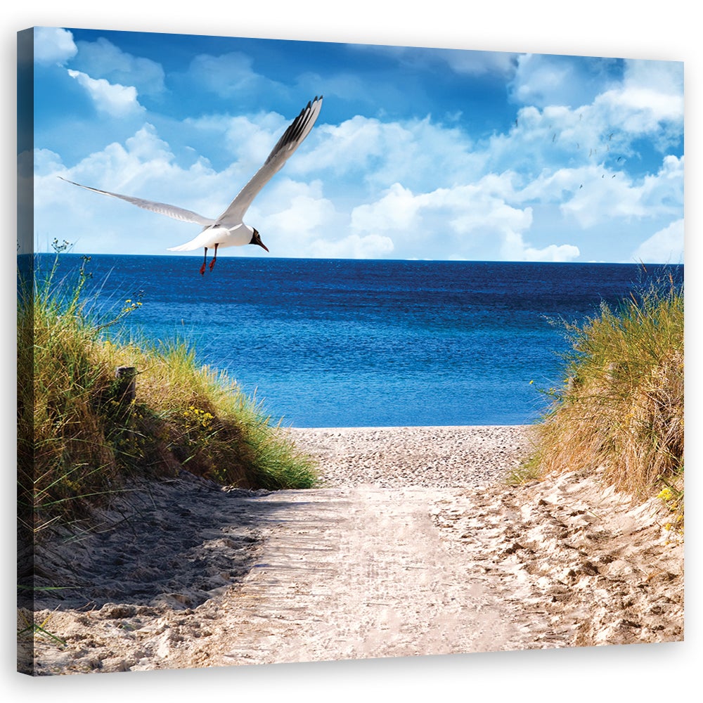 Obraz na płótnie, Ścieżka na plażę i mewa 30x30