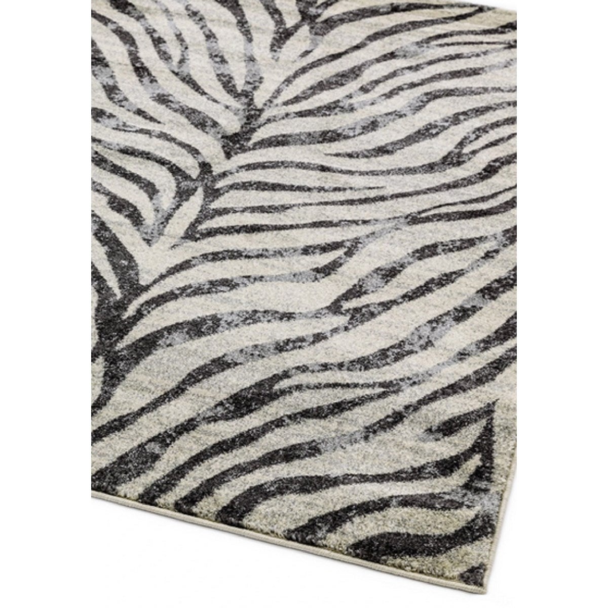 Tapis de salon moderne tissé plat AVON ZEBRA 160x230 cm - 2