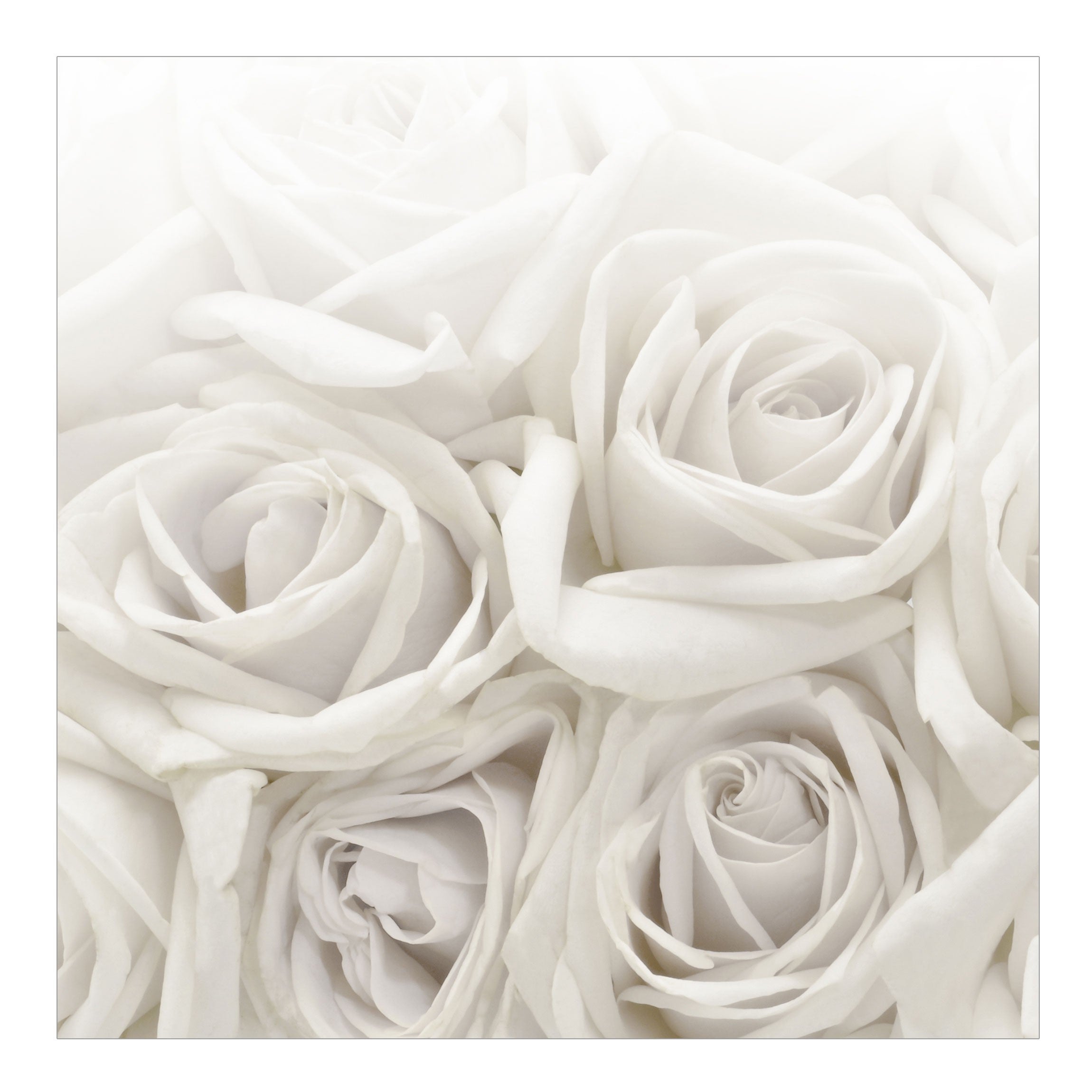 Tessuto Pizzo Ricamo Floreale 135x91 Cm - Poliestere Grigio/Navy Per Abiti Fai Da Te, Abiti Da Sposa, Veli
