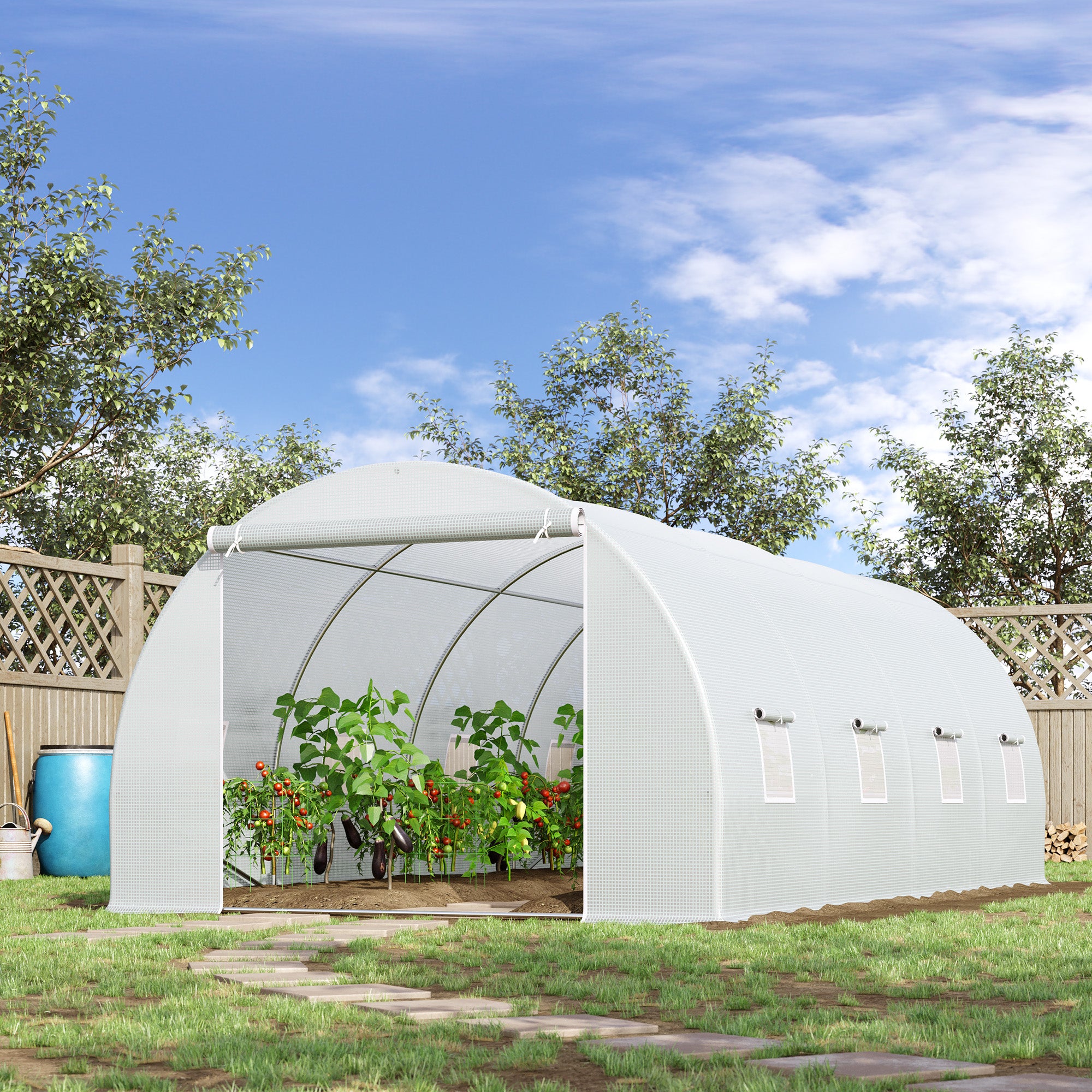 Serre de Jardin Tunnel PE Outsunny - 2