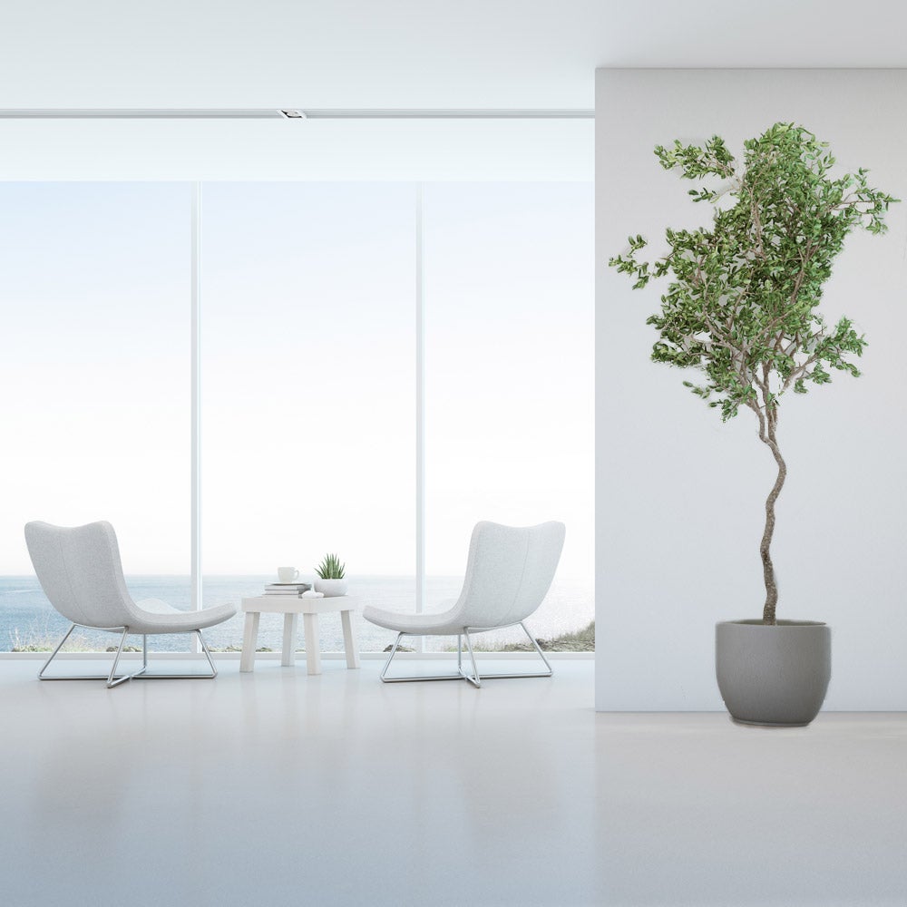 Peinture époxy sol et mur mat Kit de 10 Kg Jaune Sable RAL 1001 - 2