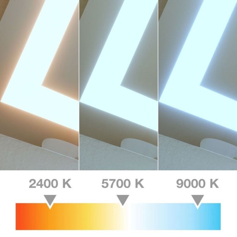 80