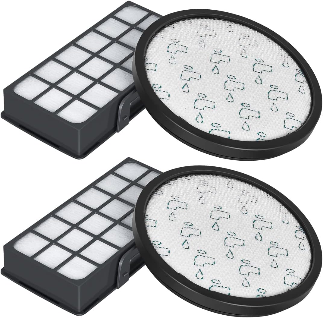 Lote De 2 Filtros De Repuesto Para Aspiradora Rowenta X-Trem Power Cyclonic (Series RO69xx, RO72xx) - Premotor Y HEPA