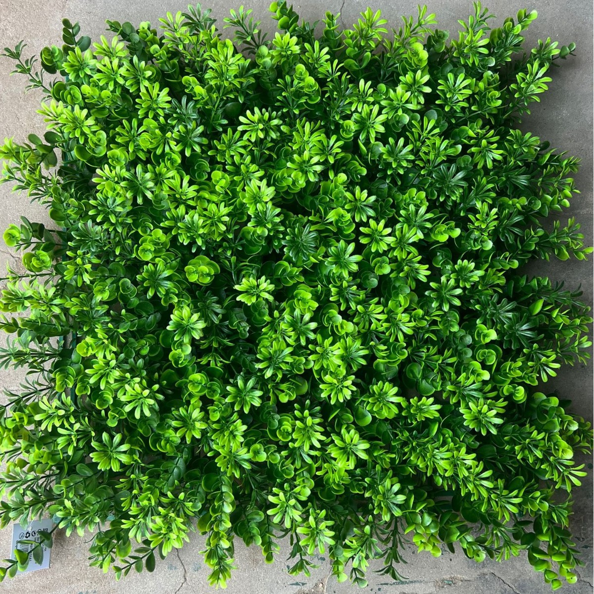 Sztuczny żywopłot 50 cm x 50 cm, ochrona i prywatność dla ogrodu, tło ścienne z syntetycznej trawy, ochrona UV (1 sztuka)