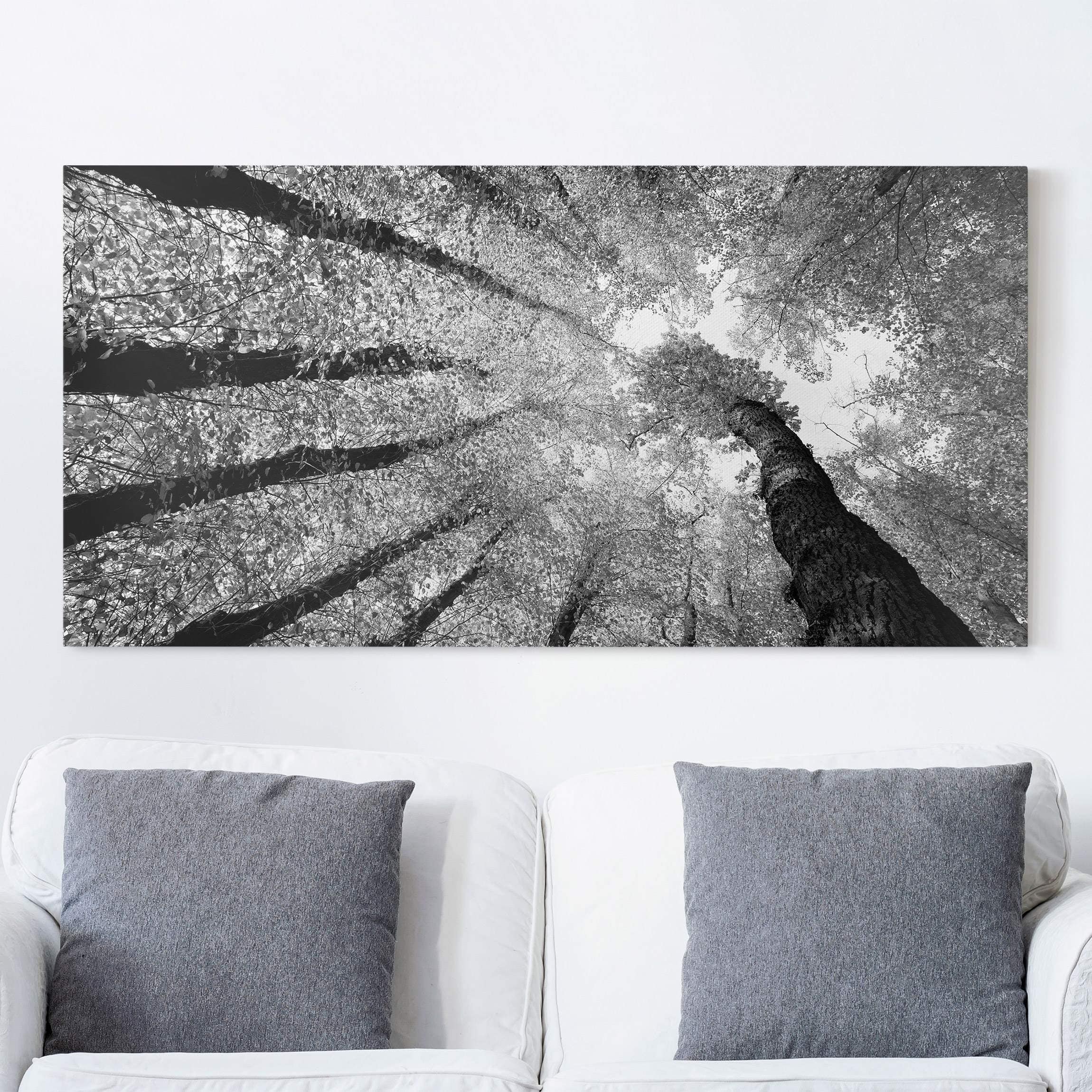 Lienzo cuadro en lienzo bastidor impresion en lienzo blanco y negro cielo paisaje árboles fotografía 199 dormitorio salón pasillo 120x60 cm