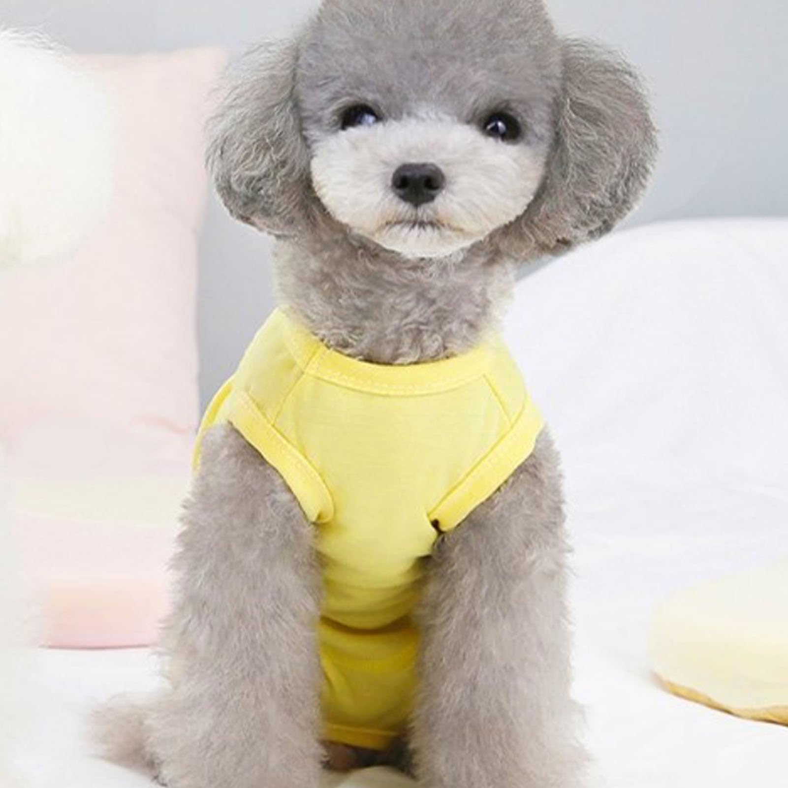 Tuta Post-Operatoria Per Cani Axcimond - Camicia Medica Con Chiusura In Velcro | Alternativa Al Collare Elisabettiano - Foto 2