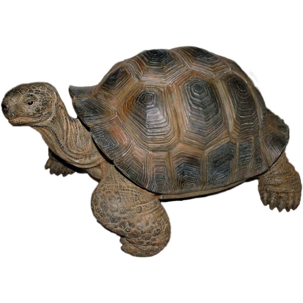 Piattaforma Per Tartarughe In Resina - Scala Per Habitat Con Design A Gradini - Foto 8