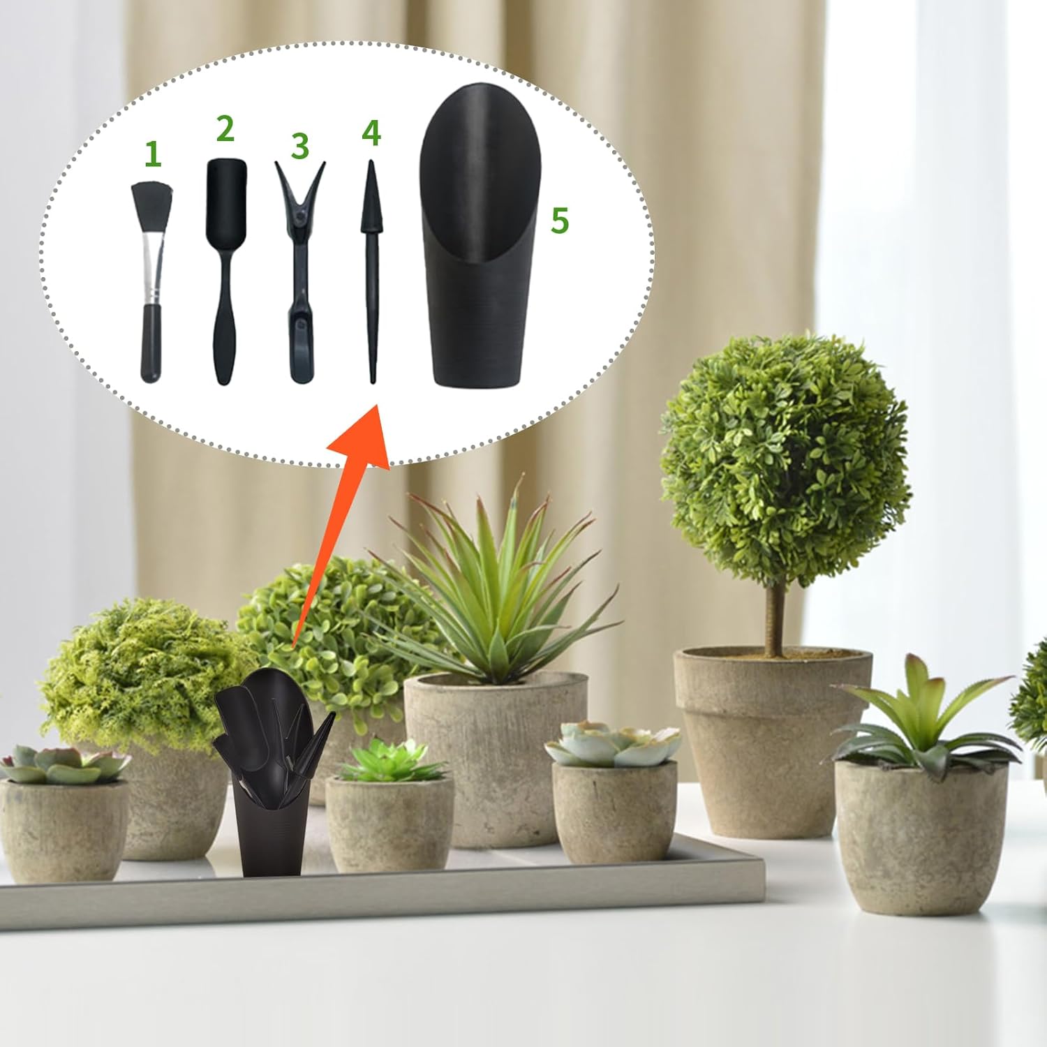 (Noir) Lot de 5 Outils de Plantation pour Plantes Grasses avec Brosse de Nettoyage, Outils de rempotage pour Jardin et Plantation à la Maison - 4