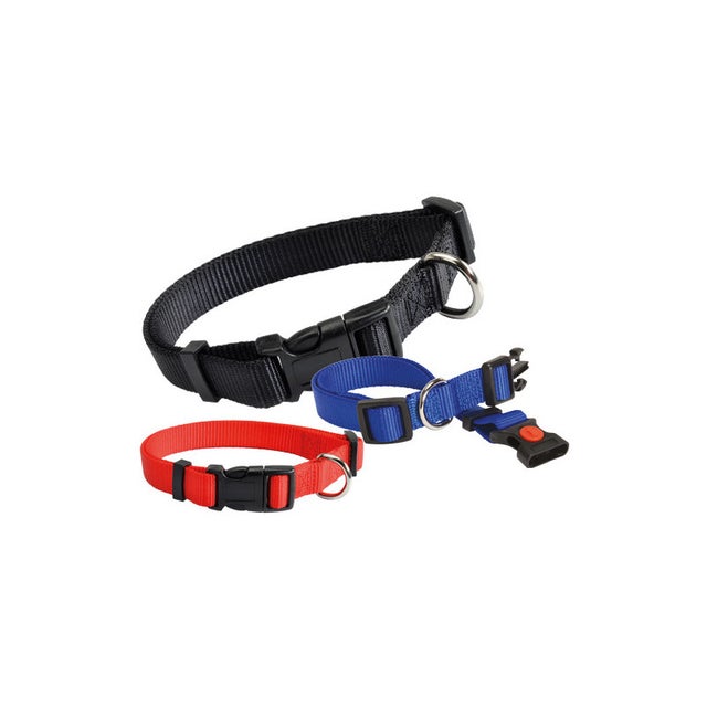 Coleira Camon Blue 15mm – Nylon durável – Liberação rápida ajustável para cães pequenos