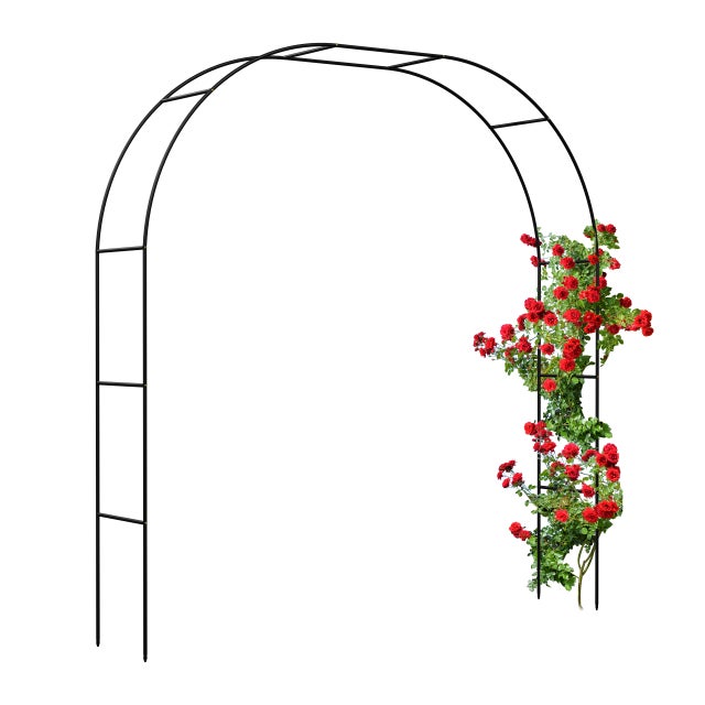 Traliccio Per Piante Rampicanti DanDiBo In Metallo - XXL 150x50 Cm - Marrone, Ideale Per Rose E Edera - 4
