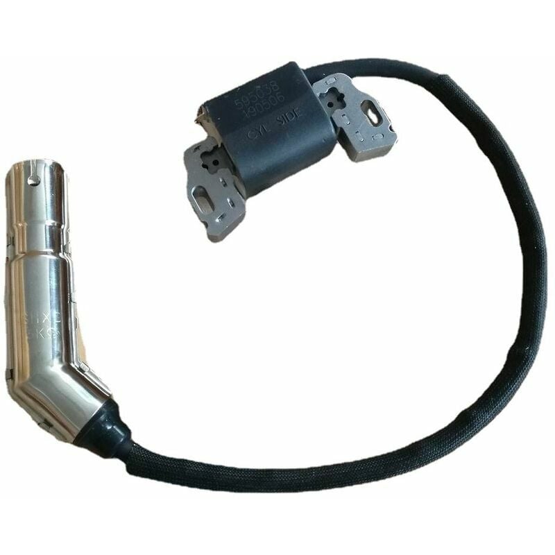 Allumage Briggs & Stratton 595304 799650 795315 Allumeur Haute Tension ...